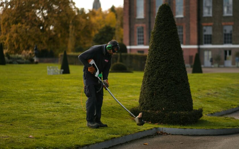 Alles wat je mag verwachten van een professionele hovenier 1 de tuin hoveniers