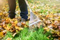 wat doen met herfstbladeren in de tuin