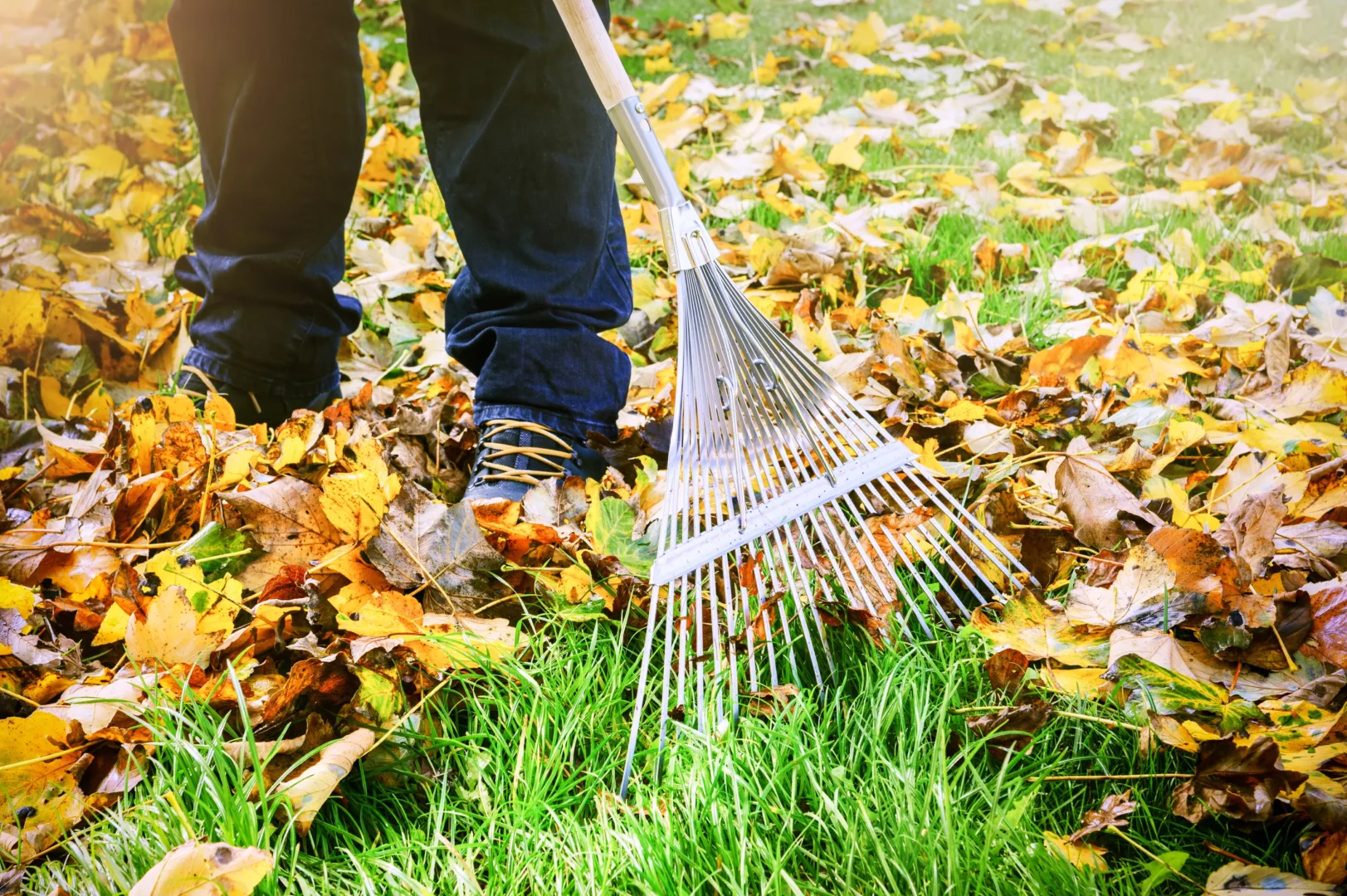 wat doen met herfstbladeren in de tuin