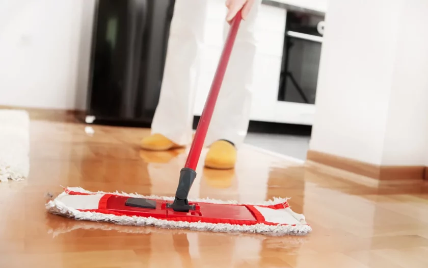 hoe vaak maken nederlanders schoon