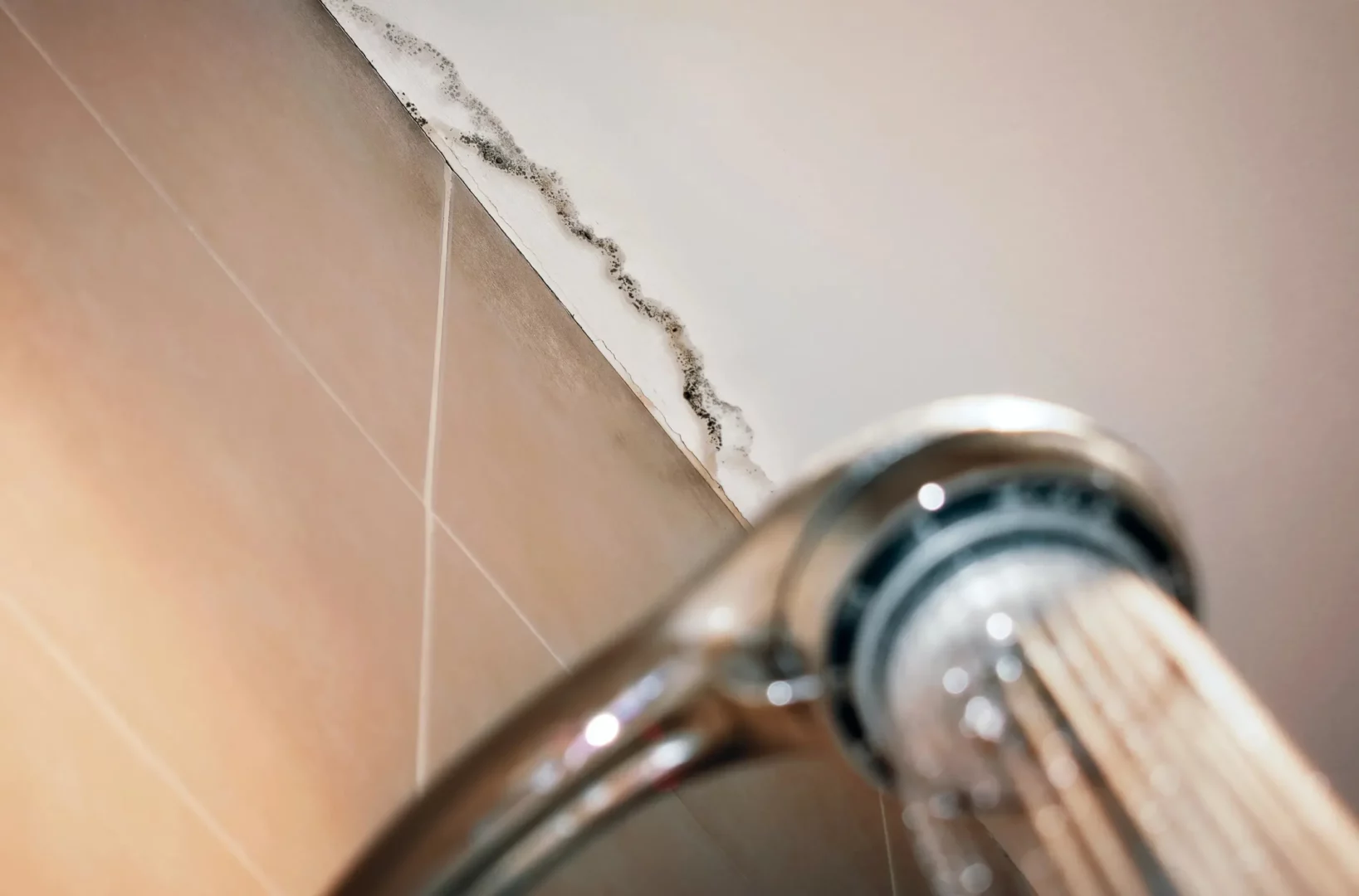 vocht in de badkamer