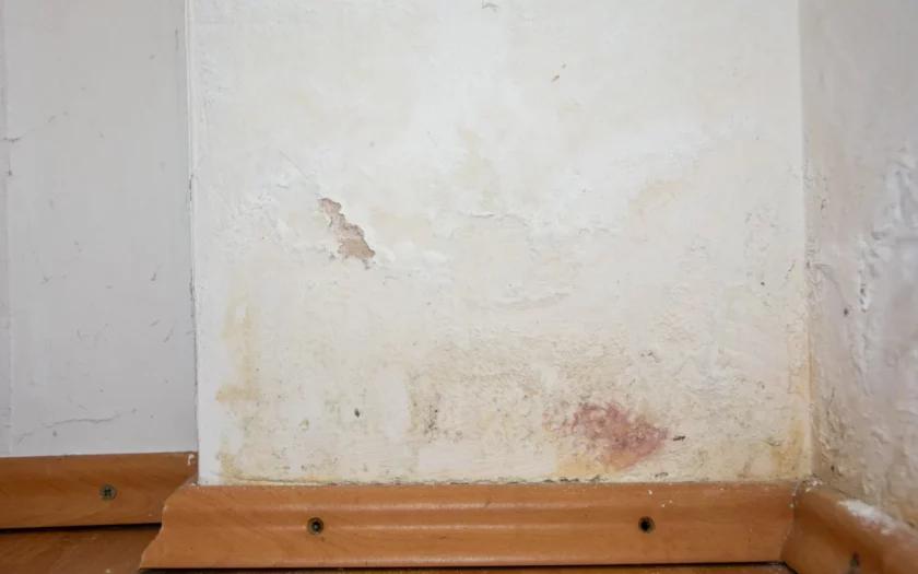 vochtplekken op muren